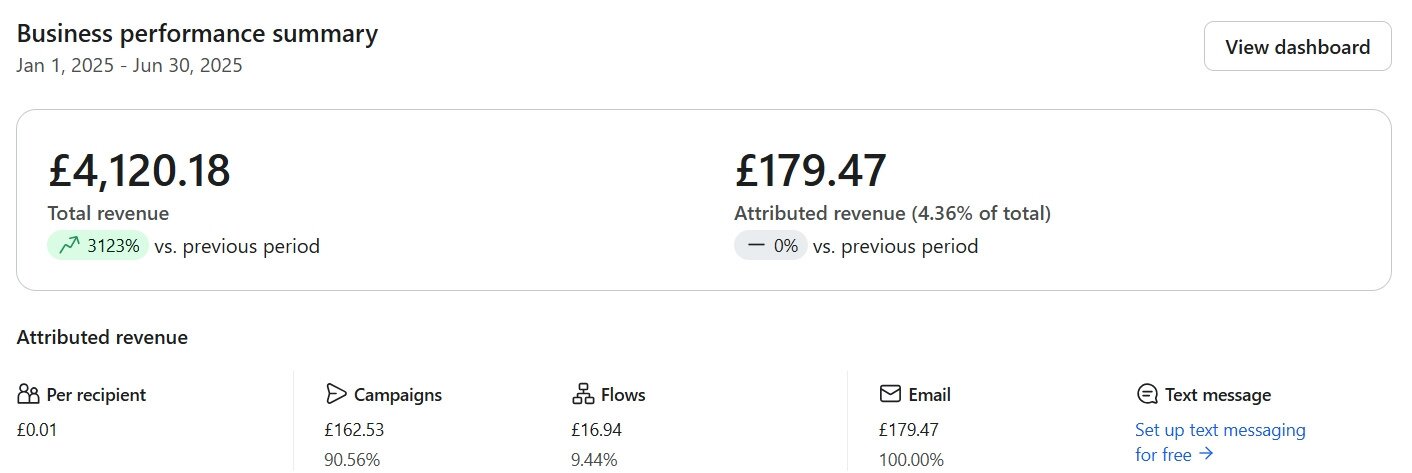 Klaviyo business performance summary for Leo's, Jan 1 to Jun 30 2025: £4,120.18 total revenue, £179.47 attributed revenue, 4.36% attribution